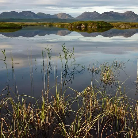 420 - Tatil Evi Clifden